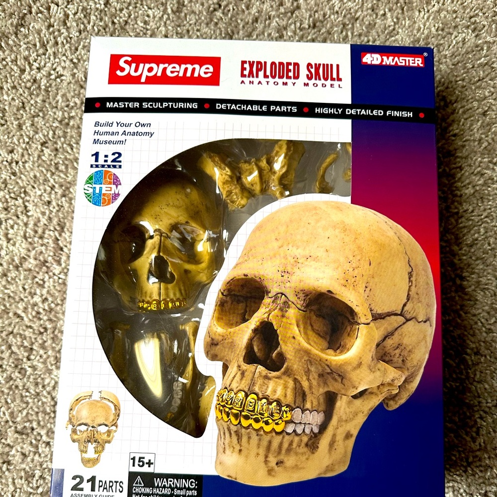 Supreme 4D model human skull